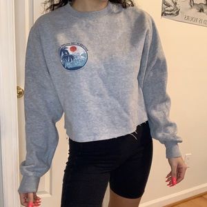 Pacsun Cropped Crewneck